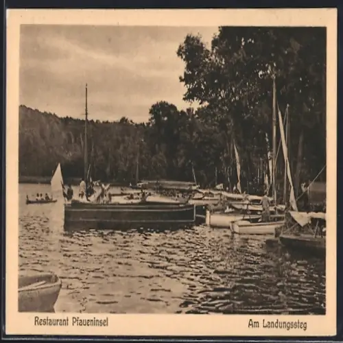 AK Berlin-Wannsee, Restaurant Pfaueninsel und Landungssteg