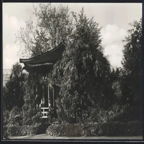 AK Berlin-Dahlem, Japanische Laube im Botanischer Garten