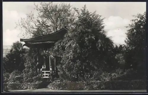 AK Berlin-Dahlem, Japanische Laube im Botanischer Garten