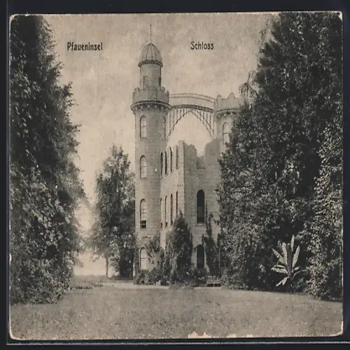AK Berlin-Wannsee, Pfaueninsel, Blick auf das Schloss