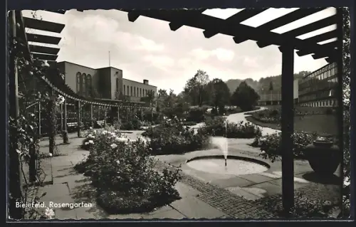 AK Bielefeld, Blick auf den Rosengarten
