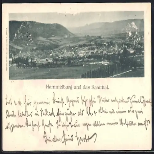 AK Hammelburg, Teilansicht und das Saalthal
