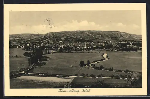 AK Hammelburg, Totalansicht der Ortschaft