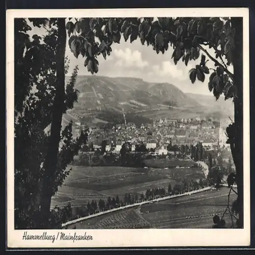 AK Hammelburg, Blick vom Waldesrand auf die Ortschaft