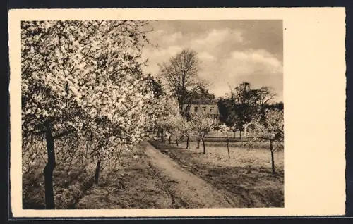 AK Königswinter, Partie am Garten