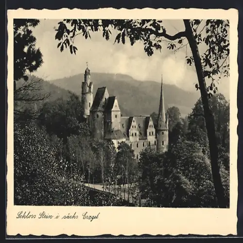 AK Hartenstein / Sachsen, Schloss Stein