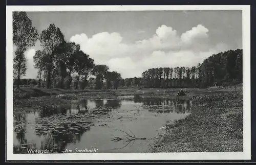 AK Wintersdorf / Rastatt, Am Sandbach