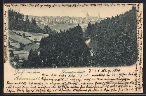 AK Freudenstadt /Schwarzwald, Teilansicht mit Bäumen