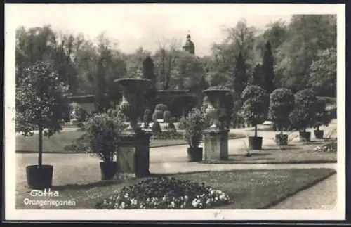 AK Gotha, Partie im Orangeriegarten