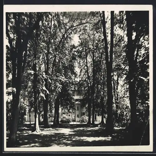 AK Tännich /Remda i. Thür., Friedrich Ebert-Heim