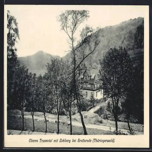 AK Brotterode, Oberes Trusental mit Eichberg