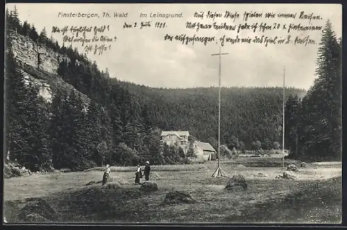 AK Finsterbergen /Th. Wald, Im Leinagrund