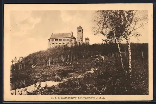 AK Weinheim, Blick zur Wachenburg