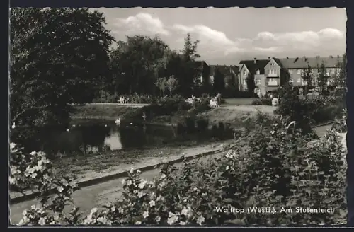AK Waltrop /Westf., Am Stutenteich