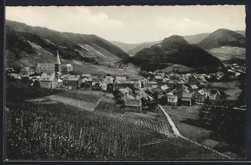 AK Mayschoss /Ahrtal, Teilansicht mit Strassenpartie