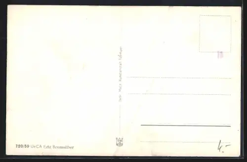 AK Karlsruhe i. B., Teilansicht mit Schloss und Strassenpartie