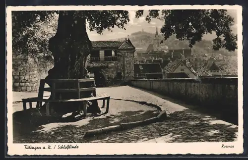 AK Tübingen a. N., Schlosslinde