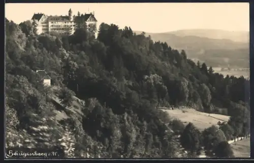 AK Heiligenberg / Baden, Panorama mit Schloss v. W.