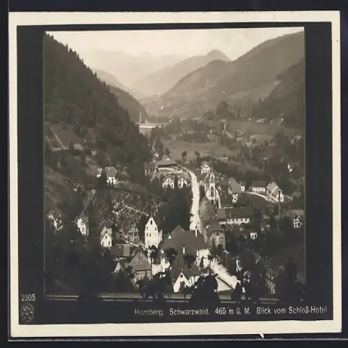 AK Hornberg / Schwarzwald, Blick vom Schloss-Hotel