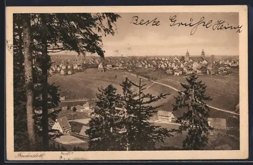 AK Freudenstadt, Teilansicht mit Bäumen