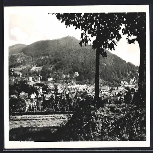 AK Suhl /Thür. Wald, Blick zum Domberg