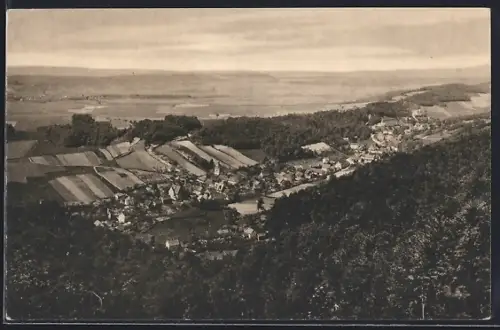 AK Sülzhayn /Südharz, Ortsansicht über Waldpartie