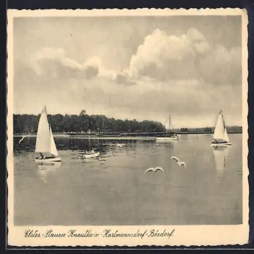 AK Bösdorf / Elster, Segelboote auf dem Elster-Stausee