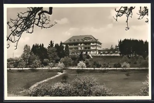 AK Überlingen /Bodensee, Kurhotel St. Leonard mit Landstrasse und Weide