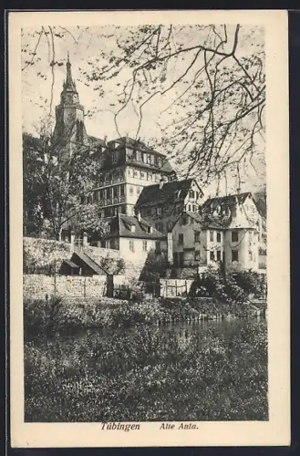 AK Tübingen, Alte Aula