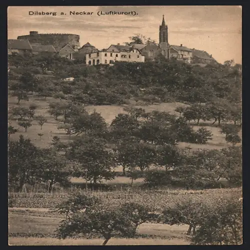 AK Dilsberg a. Neckar, Ortsansicht aus dem Tal