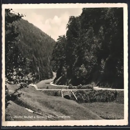 AK Neustadt a. Rennsteig, Panorama am Tanngrund