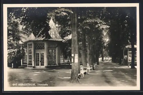 AK Bad Mergentheim, Partie an der Trinkhalle