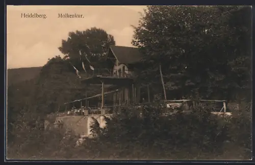 AK Heidelberg, Gasthaus Molkenkur