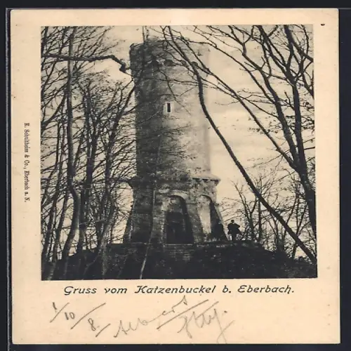 AK Katzenbuckel b. Eberbach, Turm mit Besuchern