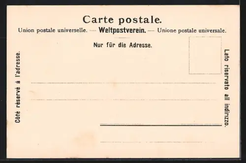 AK Rheinfelden, Totalansicht