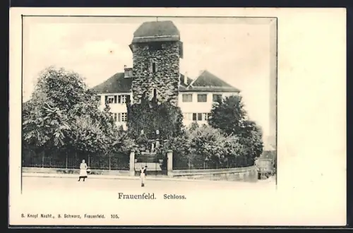 AK Frauenfeld, Schloss mit Strassenpartie