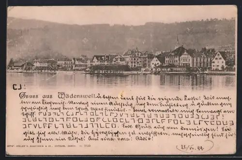 AK Wädenswil, Uferpartie