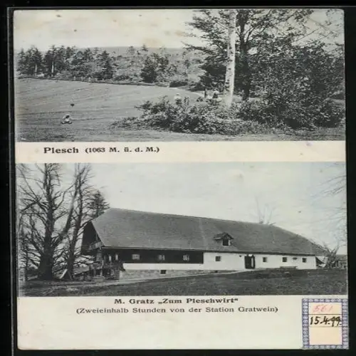 AK Gratwein-Strassengel, Plesch, Gasthaus Zum Pleschwirt, Inh. M. Gratz