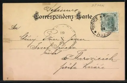 Lithographie Neumarkt in Steiermark, Pichlschloss, Curhaus