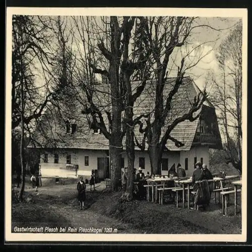 AK Gratwein-Strassengel, Rein Pleschkogel, Gastwirtschaft Plesch mit Garten