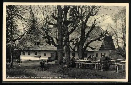 AK Gratwein-Strassengel, Rein Pleschkogel, Gastwirtschaft Plesch mit Garten