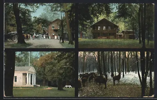 AK Dessau, Gasthaus Sie Berg