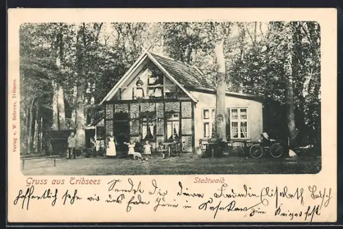 AK Tribsees, Stadtwald, Gasthaus mit Besuchern