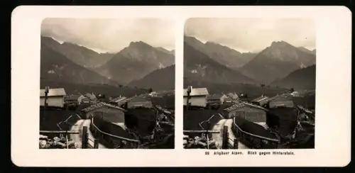 Stereo-Fotografie NPG, Ansicht Hinterstein, Blick über den Ort nach den Alpen