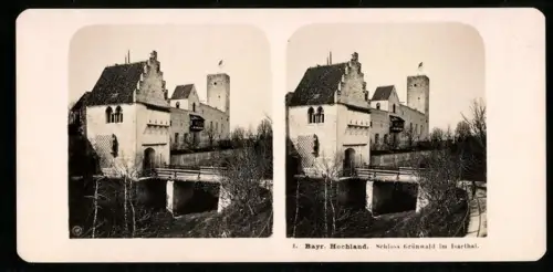 Stereo-Fotografie NPG, Ansicht Grünwald, das Schloss Grünwald im Isarthal