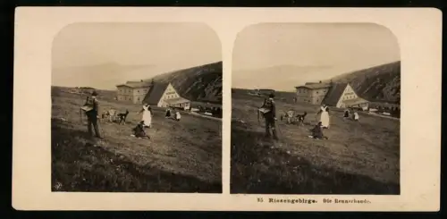 Stereo-Fotografie NPG, Ansicht Spindlermühle, Blick nach der Rennerbaude im Riesengebirge