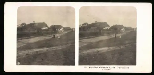 Stereo-Fotografie NPG, Ansicht Keitum, Friesenhäuser an der Strasse