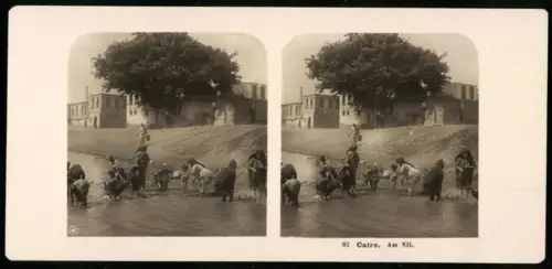 Stereo-Fotografie NPG, Ansicht Cairo, Bewohner beim Baden und Wäsche waschen im Nil