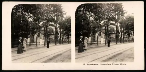 Stereo-Fotografie NPG, Ansicht Loschwitz, Partie am Sanatorium Weisser Hirsch
