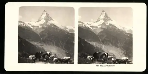 Stereo-Fotografie NPG, Ansicht Zermatt, Blick nach dem Matterhorn mit Kuhherde